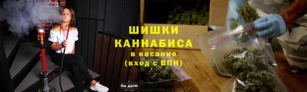 гидра Верея