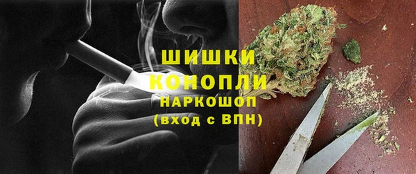 гидра Верея