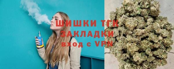apvp Богородицк
