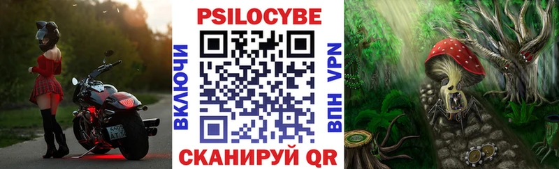 mega вход  наркота  Орск  Галлюциногенные грибы мицелий 